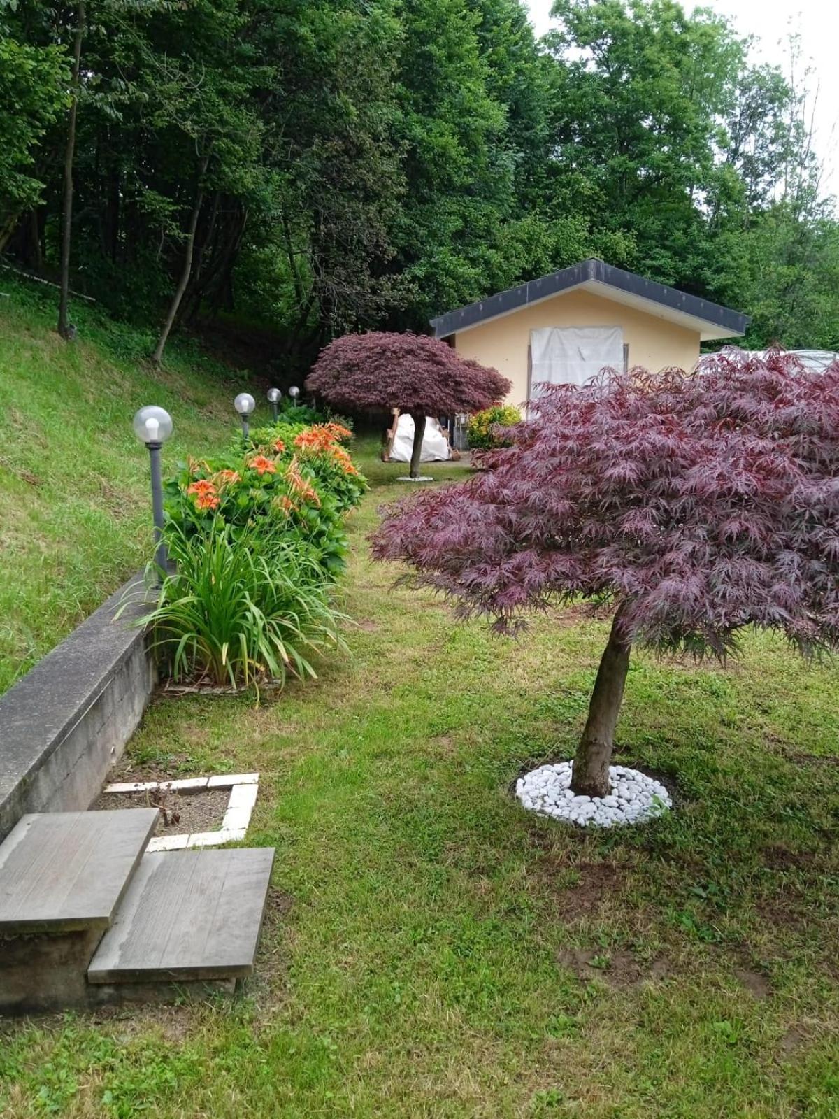 Appartamento La Casa Nel Bosco Rueglio Экстерьер фото